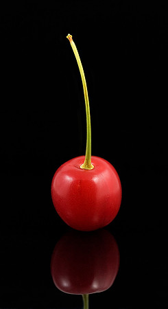 The Cherry