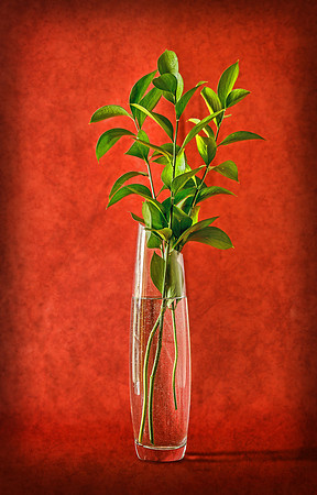 Still Life with Greenery